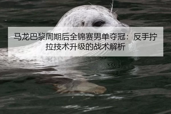 马龙巴黎周期后全锦赛男单夺冠：反手拧拉技术升级的战术解析